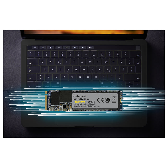 Intenso 3835470 internal solid state drive