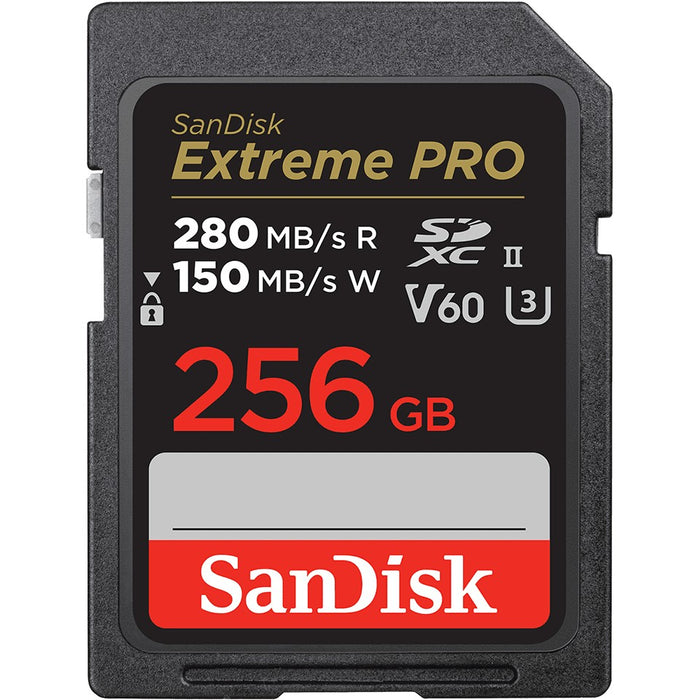 SanDisk SDSDXEP-256G-GN4IN memory card