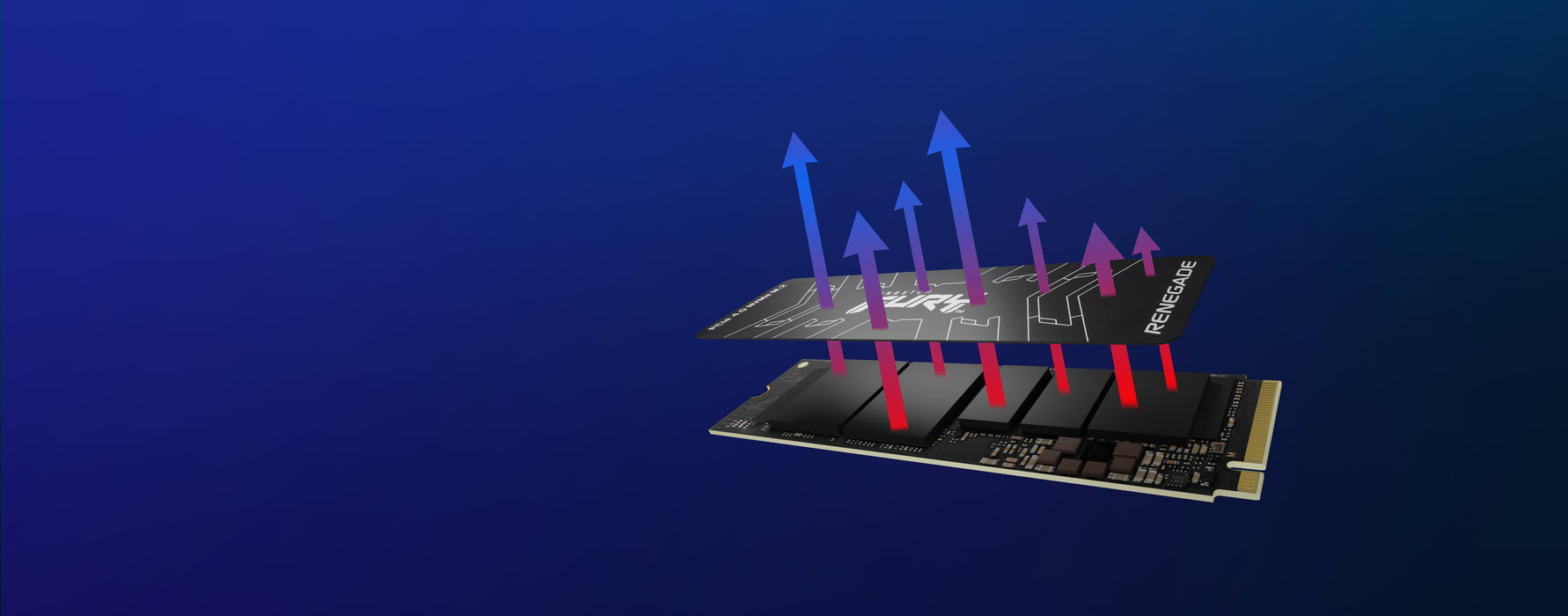 Kingston Technology 2000G FURY RENEGADE M.2 2280 NVMe SSD